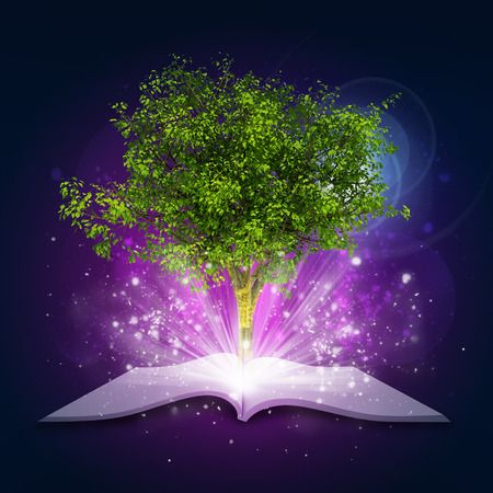 30363533 - open book with magical green tree and rays of light