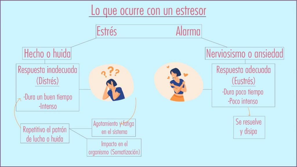 Señalar las reacciones emocionales y fisiológicas generadas por el estrés