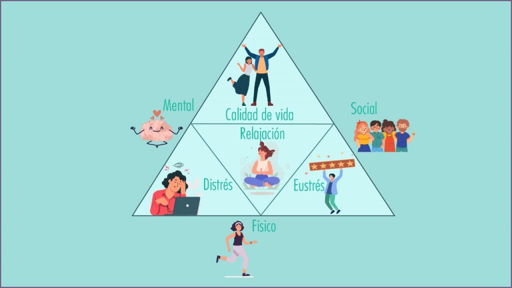 El equilibrio para el ser humano se logra a través del balance entre la dimensión mental, social y física.